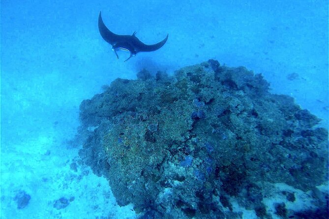 Magical Boat Tour with Underwater Cabin in Bora Bora! - Why the underwater cabin changes your Bora Bora day