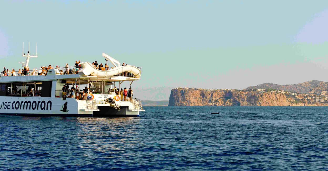 Mallorca: 2-Hour Dolphin Watching Cruise & Glass-Bottom Boat - Mallorca’s Coastline Time: Why the Sail Matters
