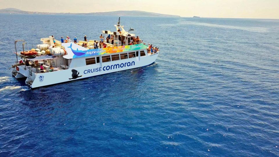 Mallorca: 2-Hour Dolphin Watching Cruise & Glass-Bottom Boat - What Dolphin Sightings Feel Like in Real Life