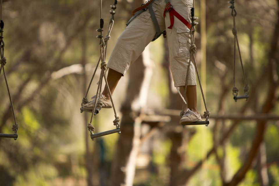 Mallorca: Adrenaline Tree Top Adventure Entry Ticket - Courses and Challenge Level: Explorador and the Multi-Course Setup