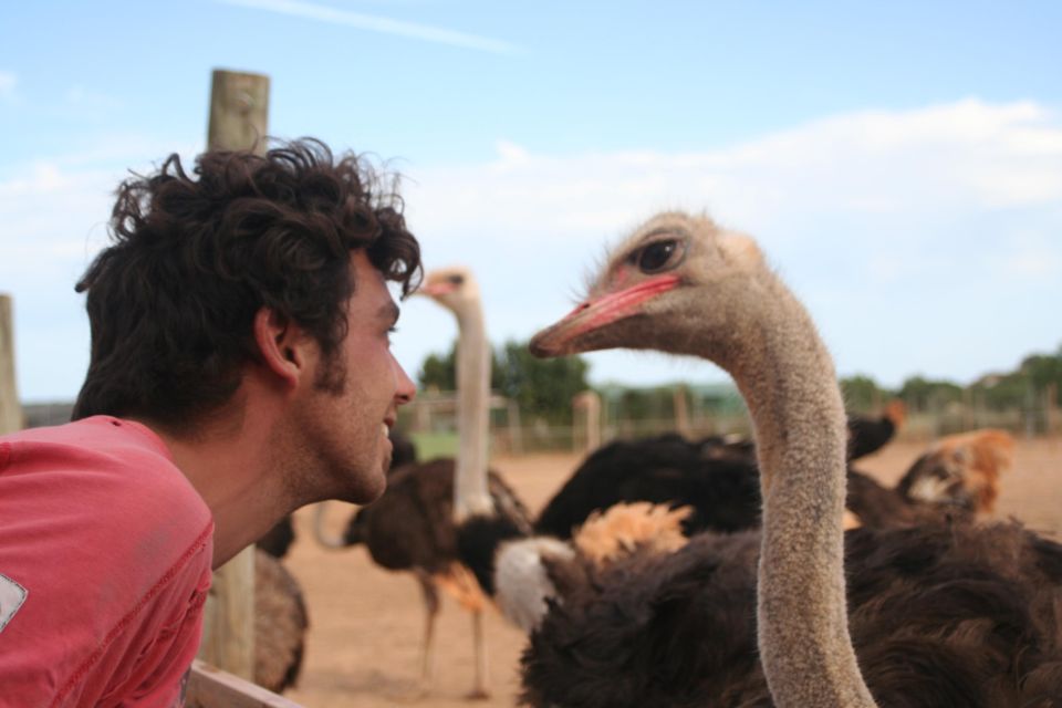 Mallorca: Artestruz - Ostrich Farm Ticket Entrance - Should you book this ostrich farm ticket on Mallorca?