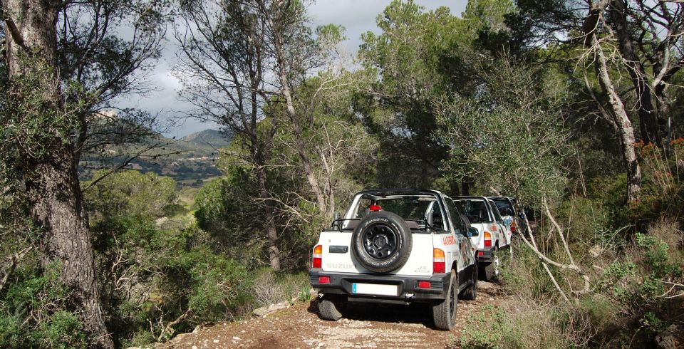 Mallorca: Beach and Mountain 4X4 Tour - Why this 3-hour 4x4 Mallorca mix works so well