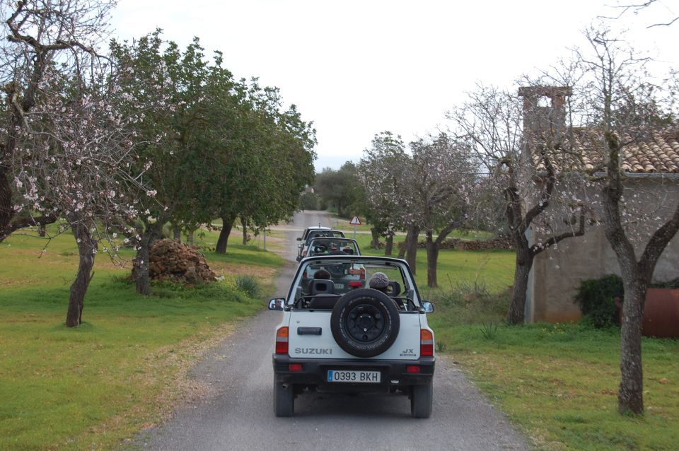 Mallorca: Beach and Mountain 4X4 Tour - Cala Murada swim stop: 30 minutes of saltwater relief