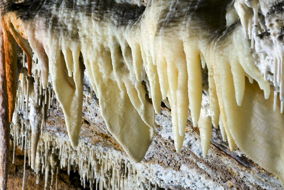 Mallorca: Campanet Caves Entry Ticket - Campanet Caves at the foot of the Serra de Tramuntana