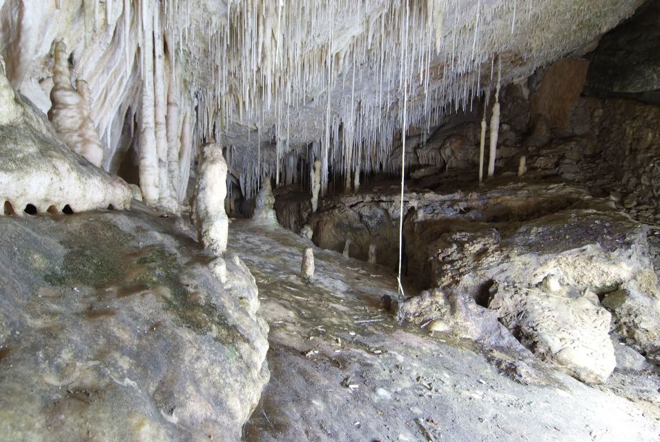 Mallorca: Campanet Caves Entry Ticket - Entering the crystal zones: stalactites, stalagmites, and collapse chambers