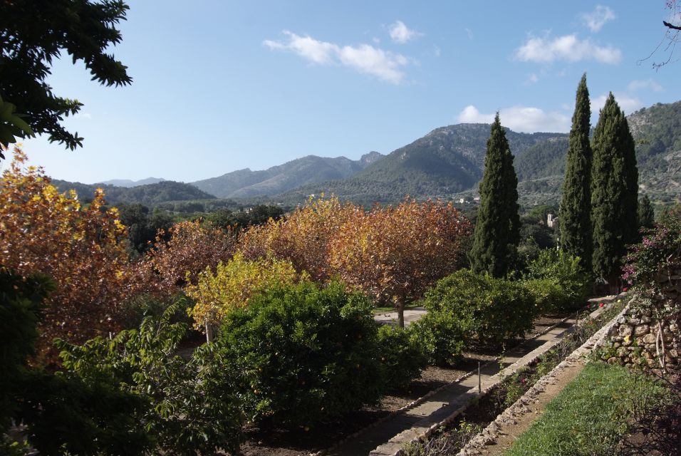 Mallorca: Campanet Caves Entry Ticket - Price and value: is $20 a fair deal?