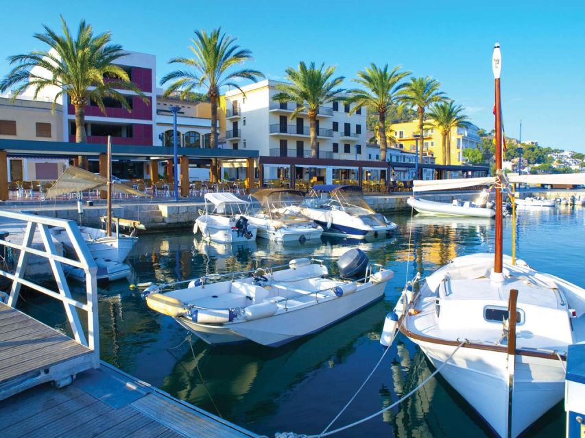 Mallorca: Catamaran Coastal Cruise with Lunch - The Big Idea: Southwest Mallorca by Sea (Not Through Traffic)