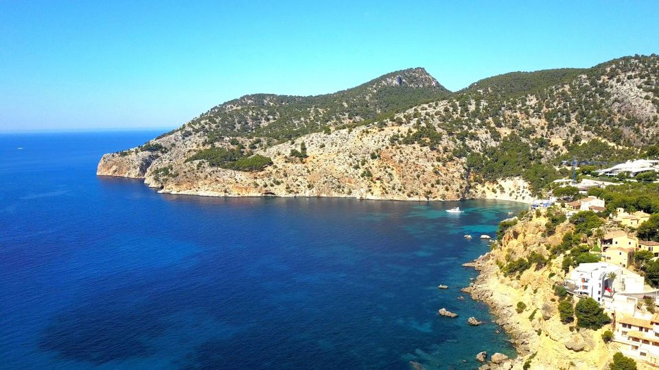Mallorca: Catamaran Coastal Cruise with Lunch - Port Andratx: 40 Minutes in a High-End Harbor