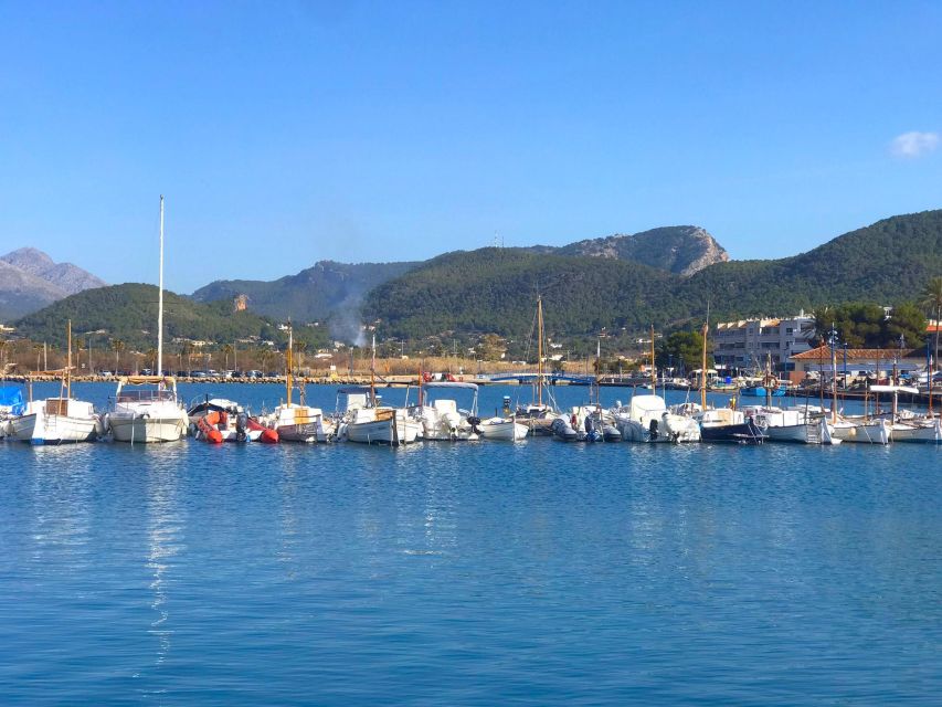 Mallorca: Catamaran Coastal Cruise with Lunch - Your 4-Hour Route: Cala Egos and the Port Andratx Stop