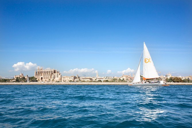 Mallorca Catamaran Cruise and Snorkeling Trip - Cala Vella Swim Stop: Where Snorkeling Dreams Meet Reality