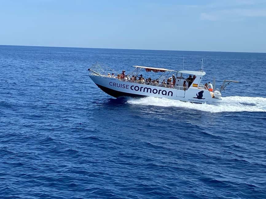 Mallorca: Caves, Cliffs, and Coves Boat Trip - Key Highlights You’ll Notice Right Away