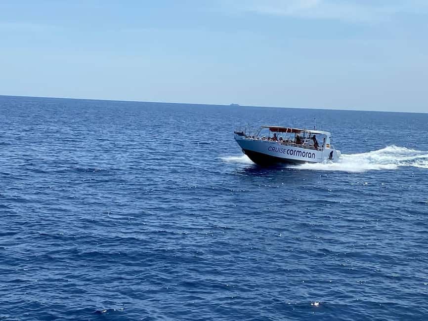 Mallorca: Caves, Cliffs, and Coves Boat Trip - Price and Value: Is $51 a Good Deal for This Mallorca Cruise?