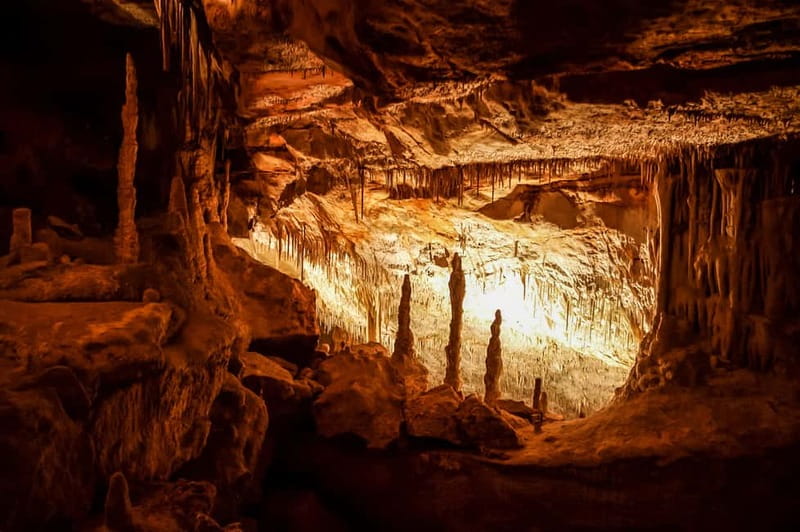 Mallorca: Caves of Drach Tour from the North with Boat Trip - Port Manacor to Porto Cristo: what that in-between time does for you