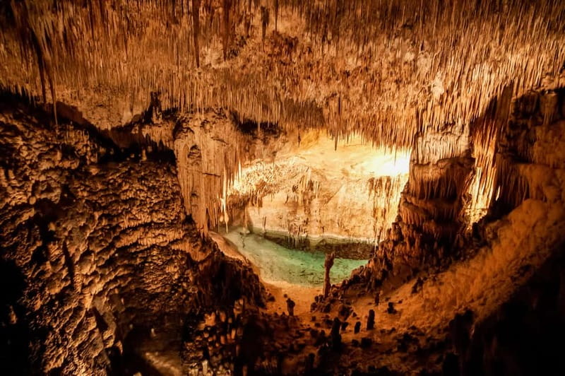 Mallorca: Caves of Drach Tour from the North with Boat Trip - Price and value: is $59 a fair deal for this Mallorca hit?