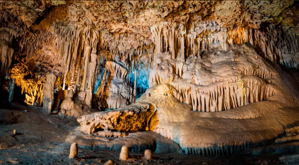 Mallorca: Caves of Hams and Dinosaurland Ticket with Pickup - Key Highlights You’ll Actually Care About