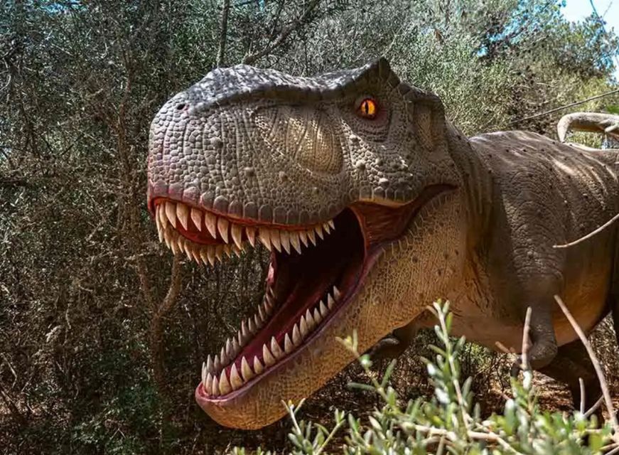 Mallorca: Caves of Hams and Dinosaurland Ticket with Pickup - Caves of Hams: Hook-Shaped Formations and a Guided Hour Underground