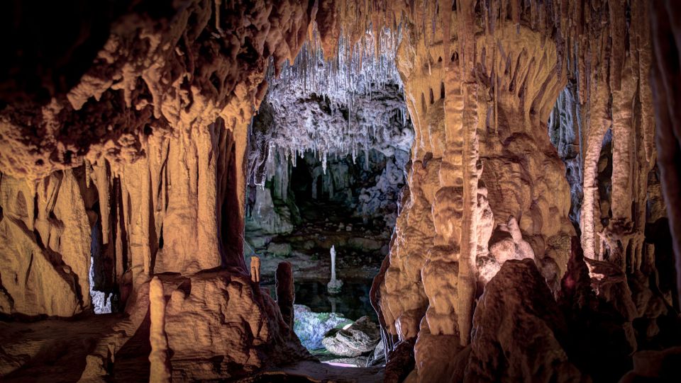 Mallorca: Caves of Hams and Dinosaurland Ticket with Pickup - How the Half-Day 5-Hour Schedule Works (and Why Timing Matters)