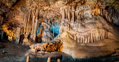 Mallorca: Caves of Hams and Dinosaurland Ticket with Pickup - Dinosaurland on Your Own: Learn Dinosaurs Without Feeling Rushed