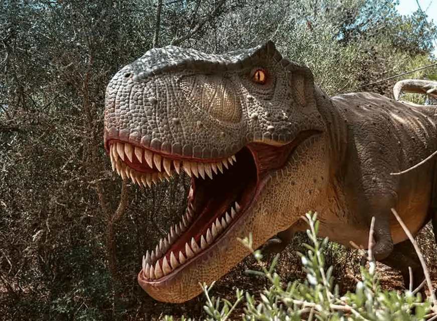 Mallorca: Caves of Hams and Dinosaurland Ticket with Pickup - Practical Tips for Cueva Redonda and Dinosaurland