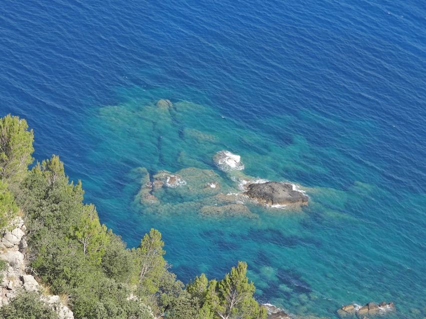 Mallorca: Day Trip to Hidden Gems of Tramuntana with Lunch - Lunch With Pa Amb Oli: What a “Real” Mallorca Meal Looks Like Here