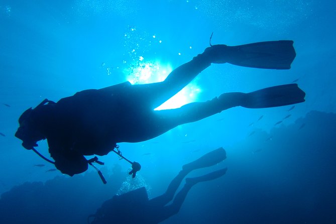 Mallorca: Discover Scuba Diving from the boat - Water Session 2: up to 12 meters, based on comfort and conditions