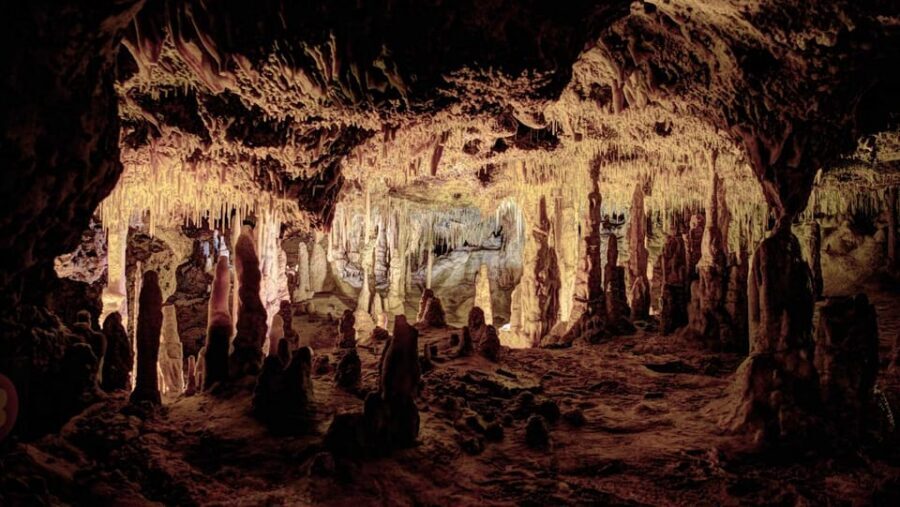 Mallorca: Drach Caves, Lake Martel, & Pearl Factory Day Trip - Entering Cuevas del Drach: A Cave Walk That Feels Like a Show