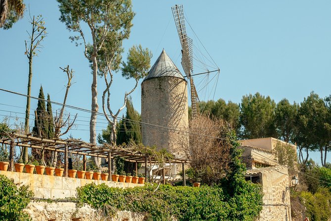 Mallorca Drach Caves Private Day Trip by Car with Hotel Pick-Up - Key highlights before you go