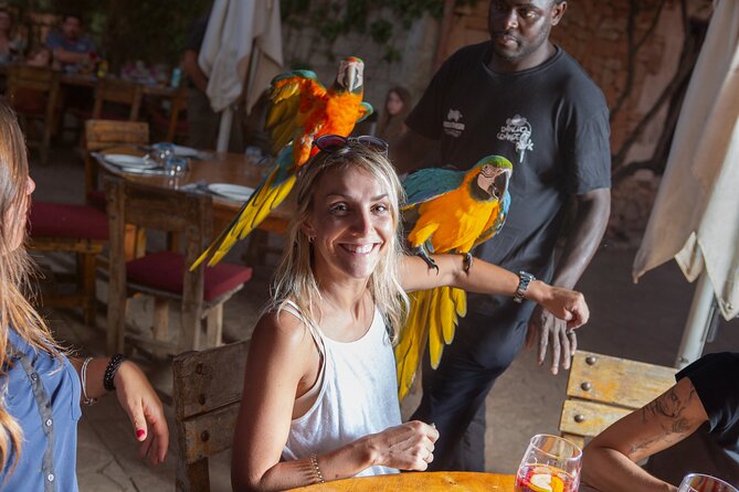 Mallorca Evening Tour: Horseback Riding, Dinner and Dance - Line dancing and the equestrian show: country music meets flamenco rhythms