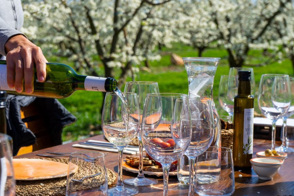 Mallorca: Full-Day Winery Small Group Tour - Key things that make this tour worth your time