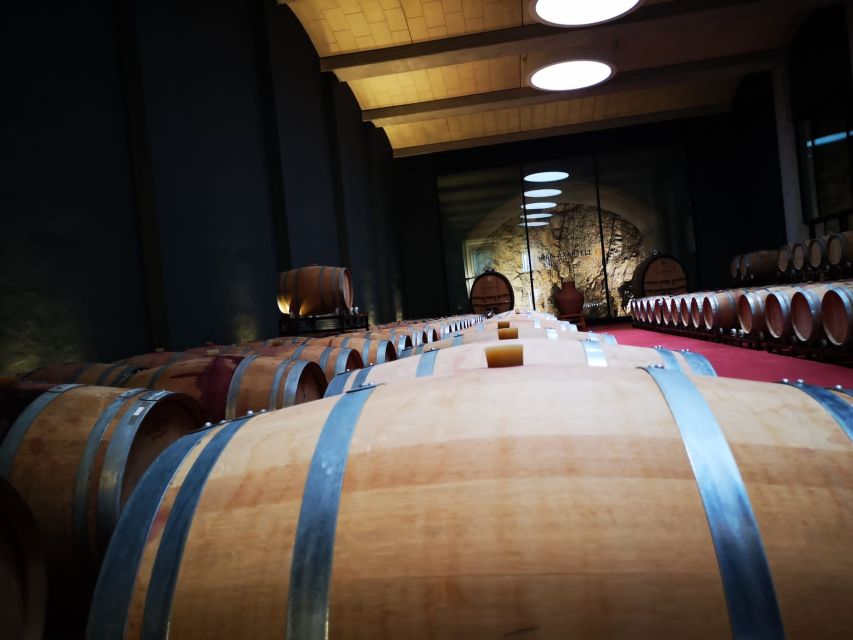 Mallorca: Full-Day Winery Small Group Tour - Stop 1: Mallorca wine growing, vineyard views, and your first tastings