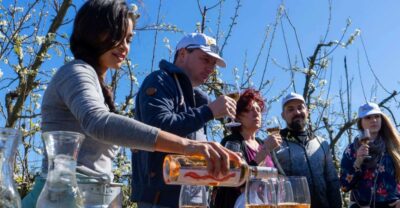Mallorca: Full-Day Winery Small Group Tour - Palma pickup and the 8-hour rhythm in a small minibus