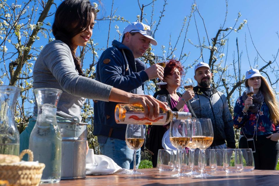 Mallorca: Full-Day Winery Small Group Tour - Group size and comfort: what to expect with the minibus day