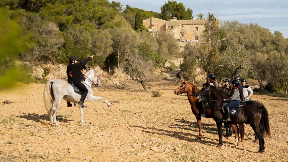 Mallorca: Guided Horseriding Tour of Randa Valley - Key Points You’ll Care About
