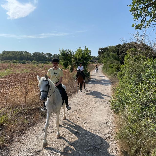 Mallorca: Guided Horseriding Tour of Randa Valley - What to Bring (and What to Skip) So You Don’t Feel Awkward