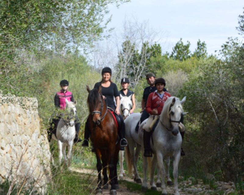 Mallorca: Guided Horseriding Tour of Randa Valley - Meeting Mallorca Horses: What the Start Feels Like