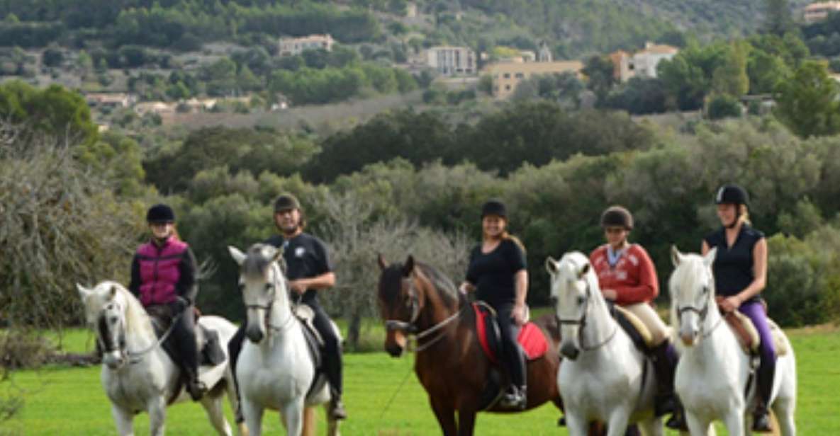 Mallorca: Guided Horseriding Tour of Randa Valley - The Sand Track Class: Your Warm-Up Before the Real Ride