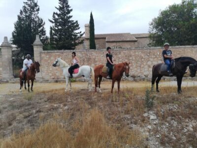 Mallorca: Guided Horseriding Tour of Randa Valley - Horse Matching and Safety: Why Beginners Aren’t Left Hanging