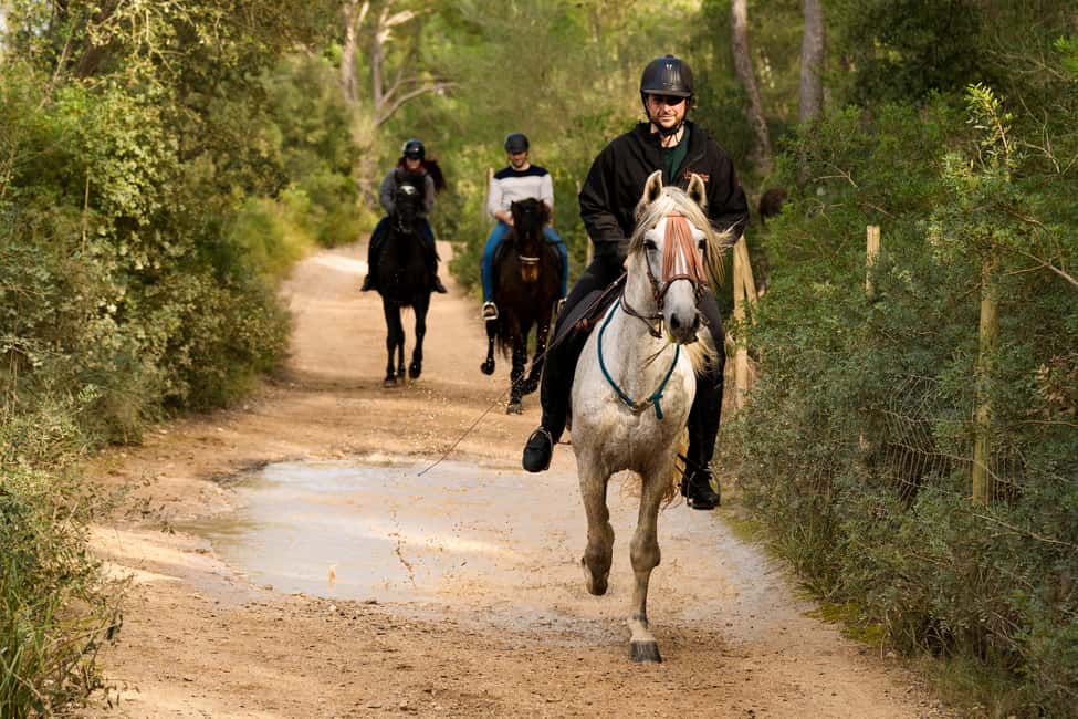 Mallorca: Guided Horseriding Tour of Randa Valley - Riding the Randa Valley: Mountains, Meadows, and Real Countryside Views
