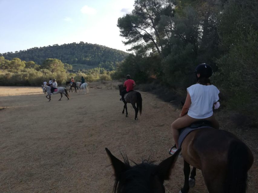 Mallorca: Guided Horseriding Tour of Randa Valley - Trot vs Canter: How Speed Works on This Tour