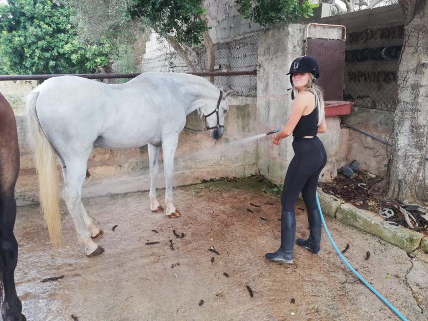 Mallorca: Guided Horseriding Tour of Randa Valley - The Group Size Advantage: Why Max 6 Riders Matters