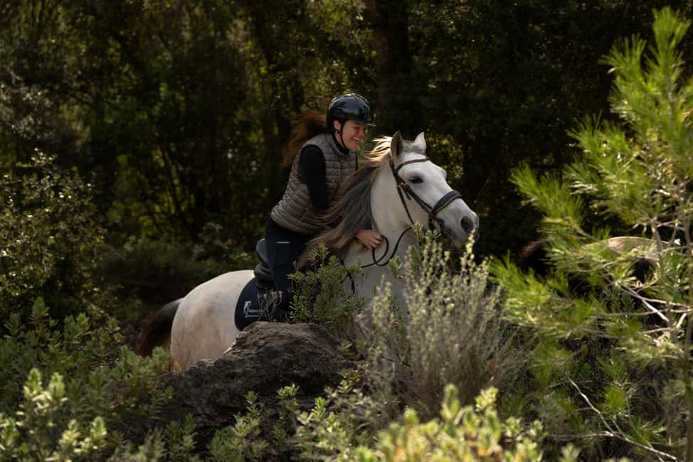 Mallorca: Guided Horseriding Tour of Randa Valley - Price and Value: Is $112 Worth It for a 3-Hour Tour?