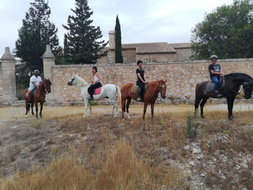 Mallorca: Guided Horseriding Tour of Randa Valley - Horse Matching and Safety: Why Beginners Aren’t Left Hanging
