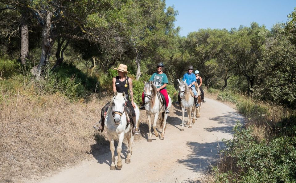 Mallorca: Horseback Riding Excursion and Wine Tasting - Quick reasons to book this Mallorca horseback + tasting