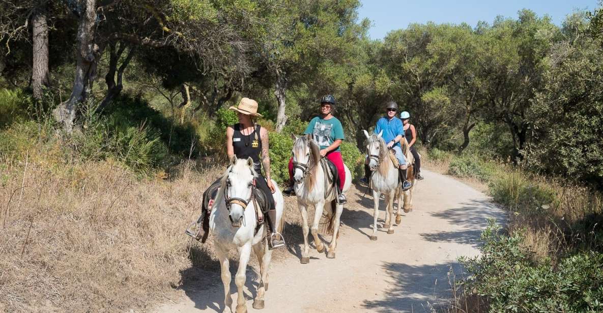 Mallorca: Horseback Riding Excursion and Wine Tasting - From pickup to the saddle: what the first hour feels like