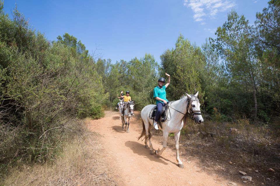 Mallorca: Horseback Riding Excursion and Wine Tasting - Why the price feels fair for what you get ($75 per person)