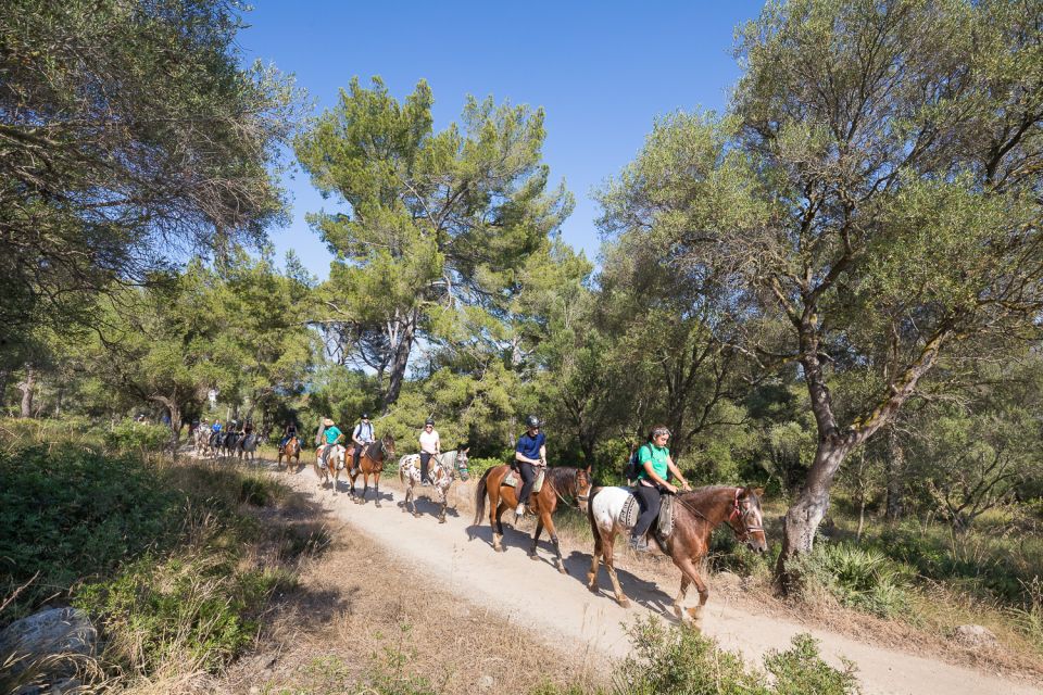 Mallorca: Horseback Riding Excursion and Wine Tasting - Safety and comfort: the non-negotiables you should respect