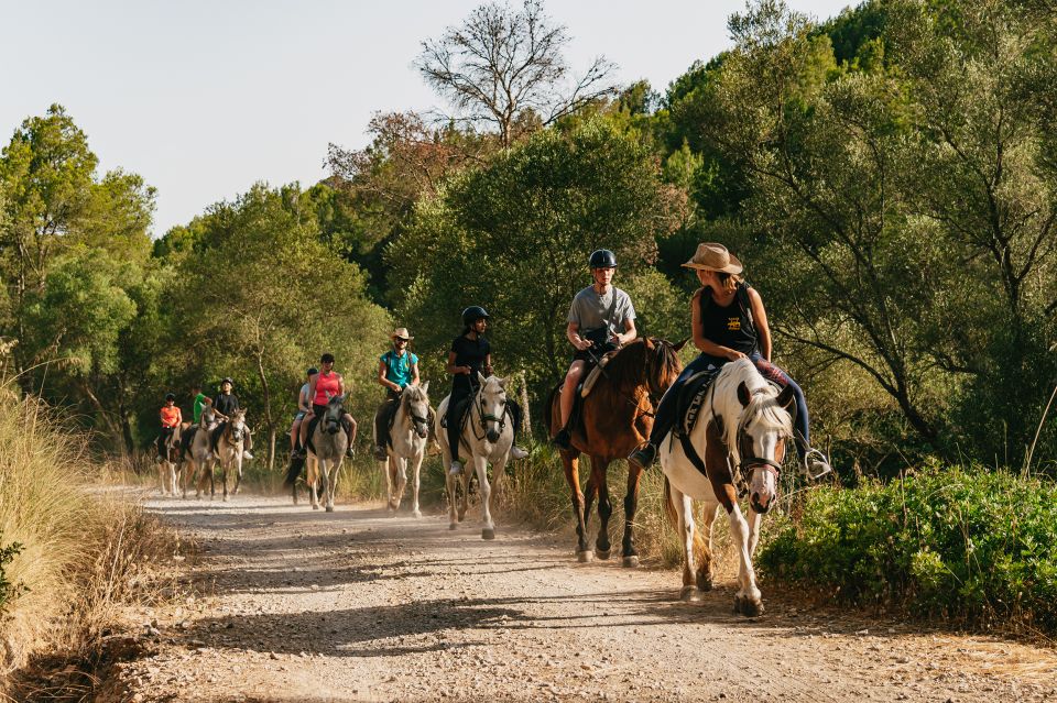 Mallorca: Horseback Riding Experience with Food Options - Food After the Ride: Mallorcan Brunch Tasting or Burger Lunch