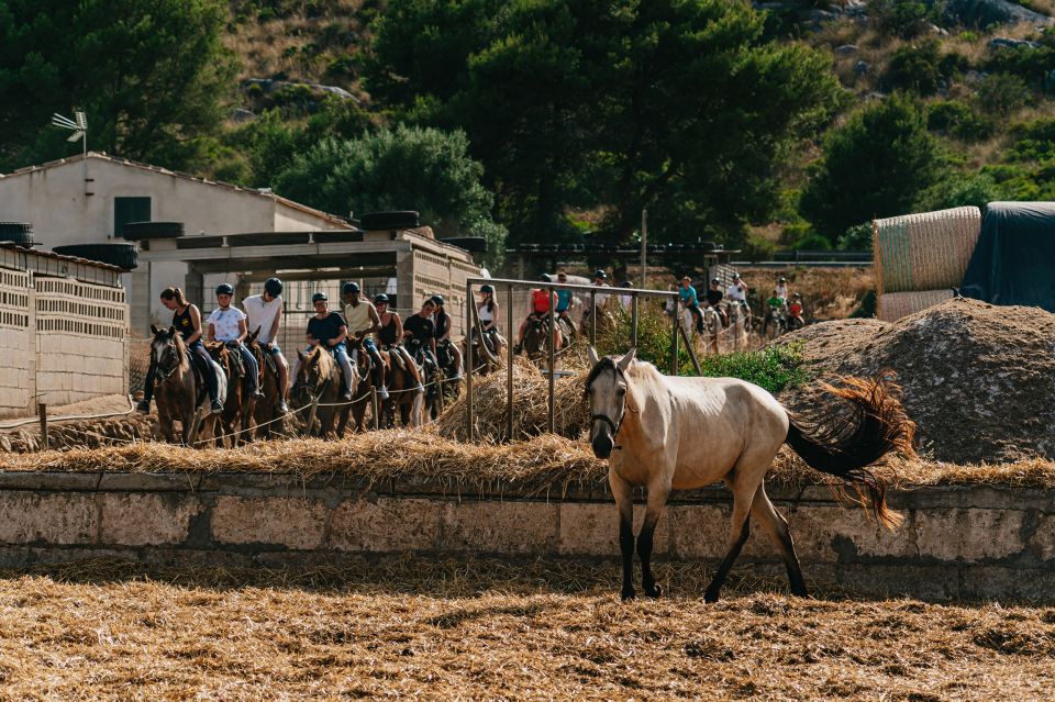 Mallorca: Horseback Riding Experience with Food Options - What to Pack and Wear (So You Don’t Lose Time at the Ranch)