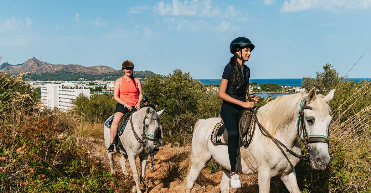 Mallorca: Horseback Riding Experience with Food Options - Getting Oriented: Feeding the Farm and Mounting with Confidence