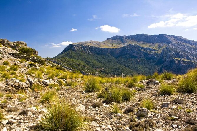 Mallorca in One Day Sightseeing Tour with Boat Ride and Vintage Train - Key highlights in plain terms